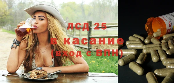 спиды Краснослободск